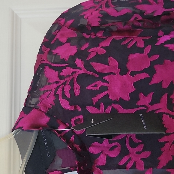 Sz 00 CLUB MONACO - Floral Burnout Dress - NWT! - Gorgeous 2-in-1 Dresses - Picture 5 of 14